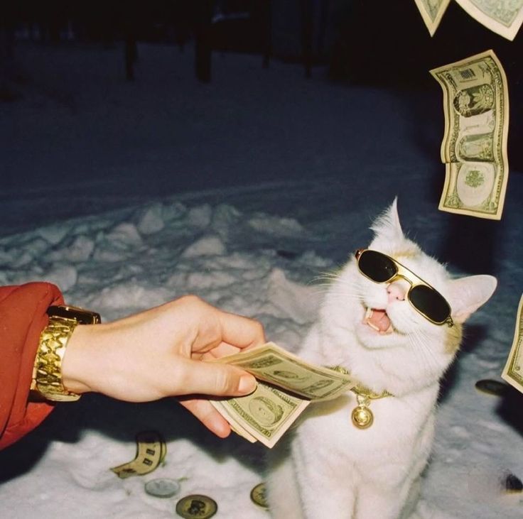 Focus, Not Distraction